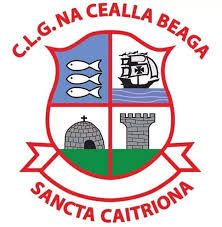 Killybegs GAA